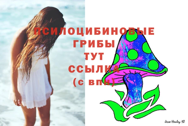 тгк Сатка
