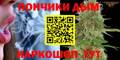 МДПВ Обь