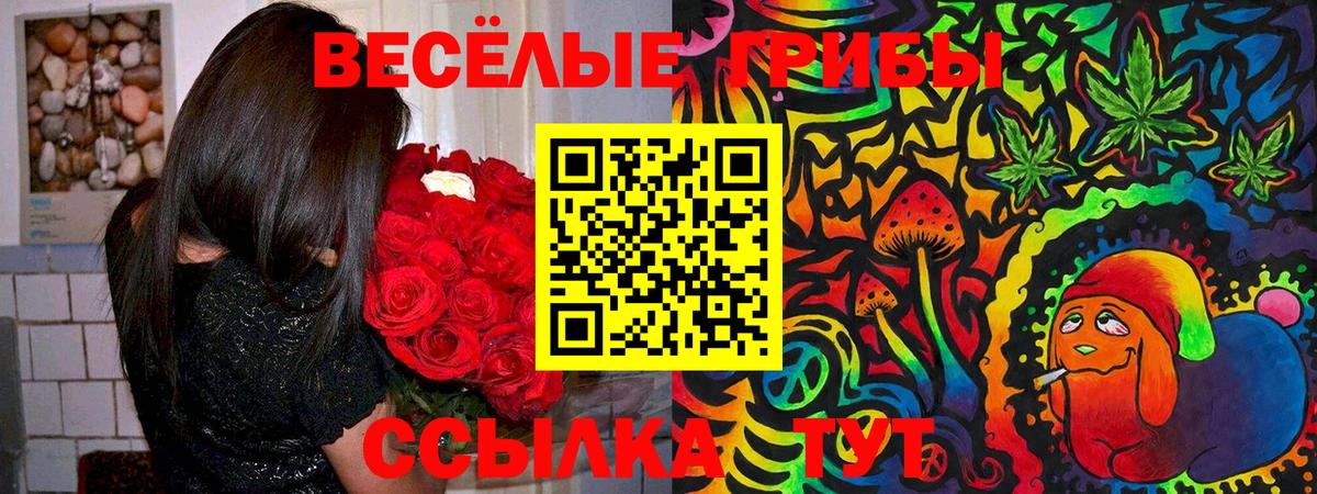 Псилоцибиновые грибы Psilocybe  Вход с VPN  Биробиджан 