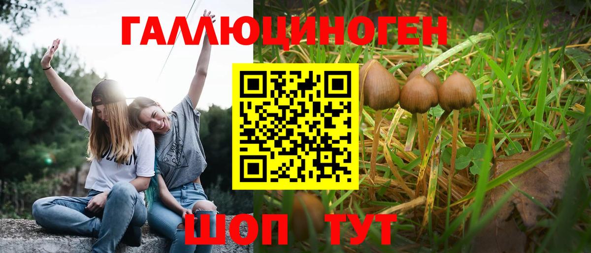 Псилоцибиновые грибы мицелий Биробиджан